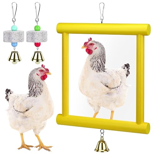 1 Pieces Chicken Mirror Toys Large 12