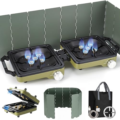 2-Burner Portable Propane Camping Stove with Windshield