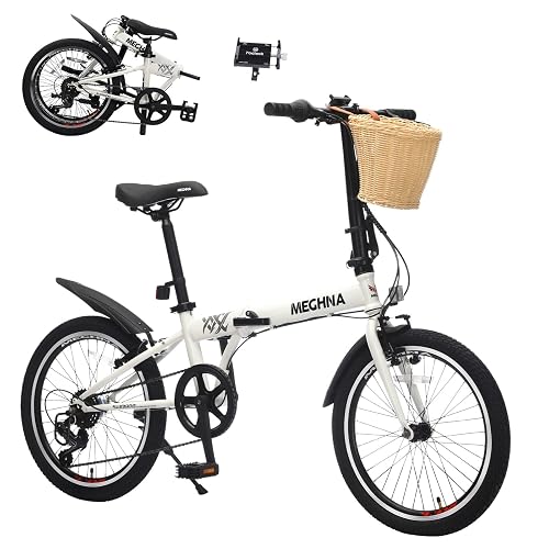 20 Inch Bike with Basket & Phone
