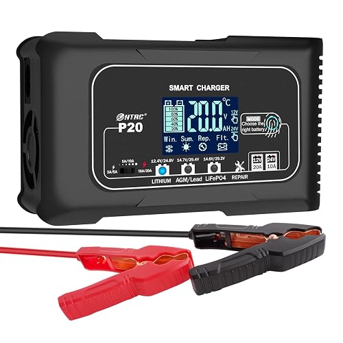 20-Amp Smart Battery Charger