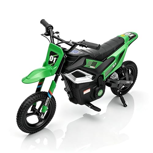 24V Electric Dirt Bike