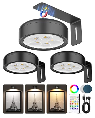 3 Pack Picture Lights for Wall