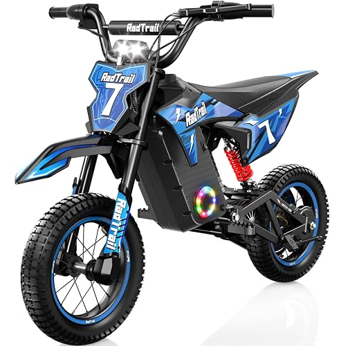 36V Electric Dirt Bike