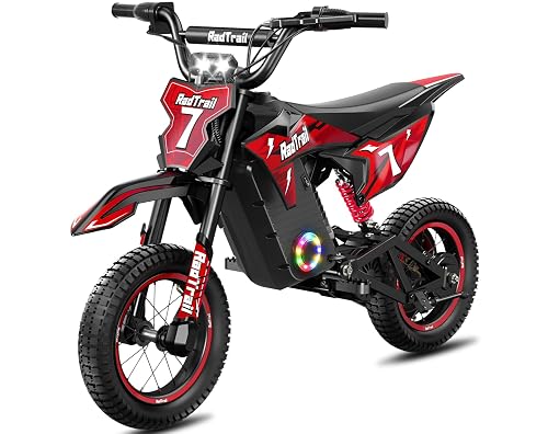 36V Electric Dirt Bike