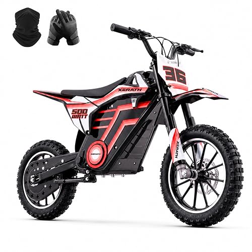 500W Electric Dirt Bike