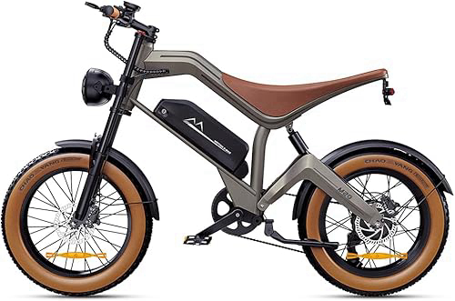 DYU Electric Bike for Adults Electric Motorcycle Peak 1500W 20