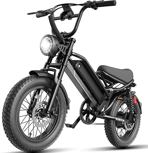 Electric Bike for Adults,Electric Dirt Bike 2000W/1500W Peak Motor,E Bike 20