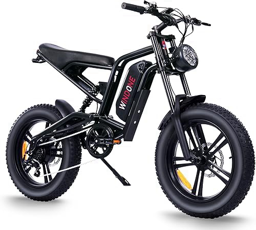 Windone E2 Electric Bike for Adults, Full Suspension, 48V13Ah Removable Battery, Up to 28MPH & 46.6 Miles (PAS), 750W Ebike with All-Terrain 4.0