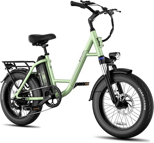 Luckeep C27 Electric Bike for Adults 750W Peak, 28MPH Removable 624WH Battery Ebikes, 20