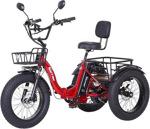 Electric Tricycle for Adults, 750W(Peak 1350W), 48V13Ah Ebike, 20"x4.0" Aluminum Folding Fat Tire 3 Wheel Electric Trike, Max 20MPH Hydraulic Brake, Rear Motor Differential