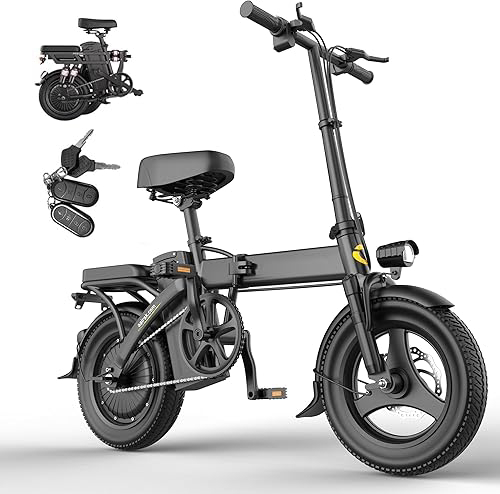Electric Bike for Adults, Peak 748W Motor, Top Speed 20 MPH, 48V Removable Battery, Max 30/40 Miles Long Range, 14