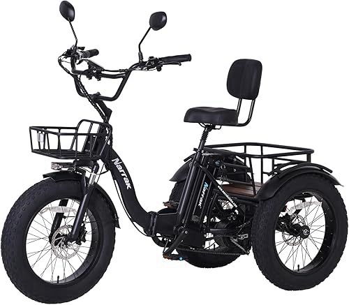 Electric Tricycle for Adults, 750W(Peak 1350W), 48V13Ah Ebike, 20