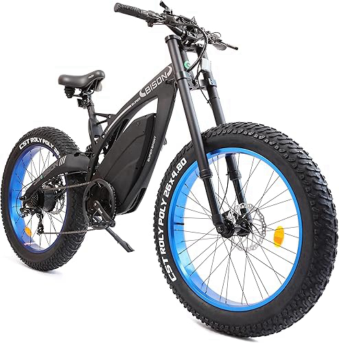 ECOTRIC Powerful Electric Bike 1000W Motor 17.6AH/48V Battery 26