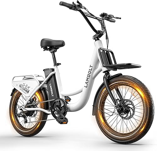 Electric Bike for Adults - 1000W Peak Motor Ebike with 48V15Ah Removable Battery, 20