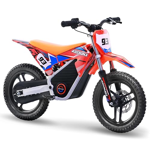 AIII Electric Dirt Bike 4-8