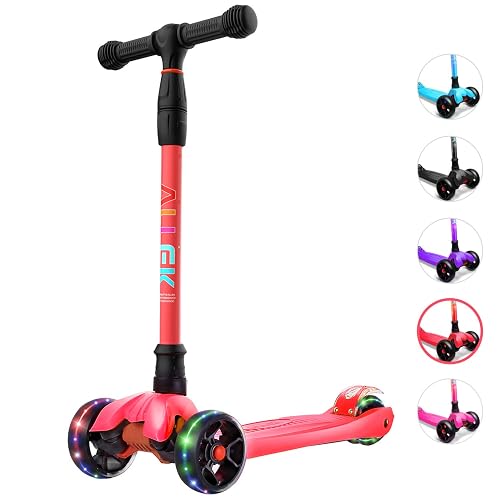 Allek Kick Scooter B02