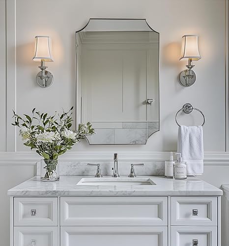 ANDY STAR Brushed Nickel Mirror 24x36 Inch
