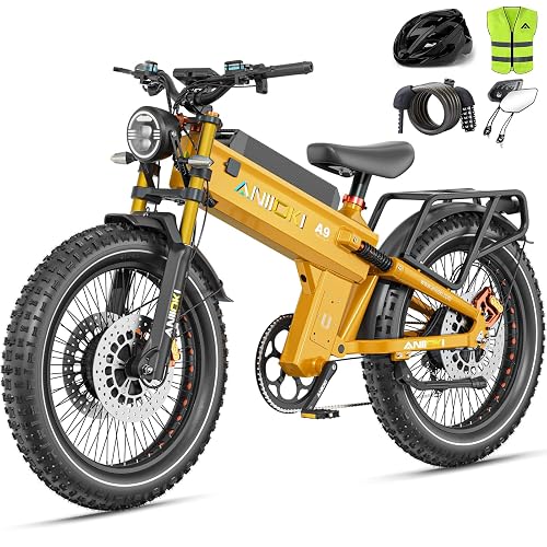 ANIIOKI 6000/ E-Bike