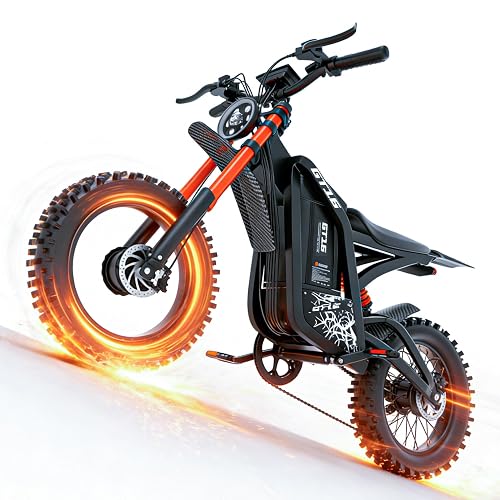 ASKGO Electric Dirt Bike