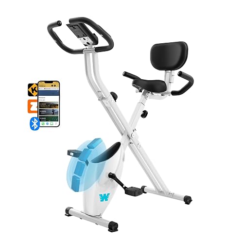 BARWING Exercise Bike Stationary Bikes for Home