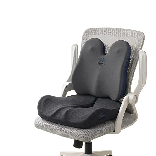 CALMORAN HOME Seat Cushion & Lumbar Support