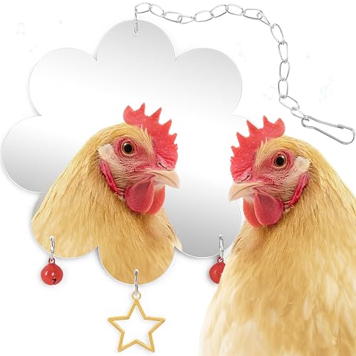 Chicken Mirror Toy for Coop Hens Chicks