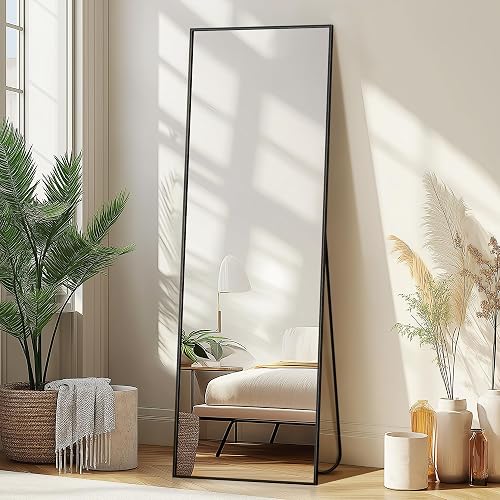 Delma Wall Full Length Mirror