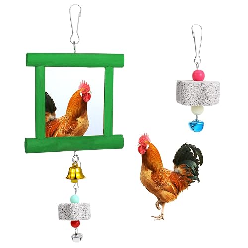 Dplolng Chicken Mirror Toys with Bells
