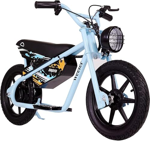 Droyd Weeler Electric Mini Bike