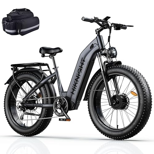 Dual Motor Battery