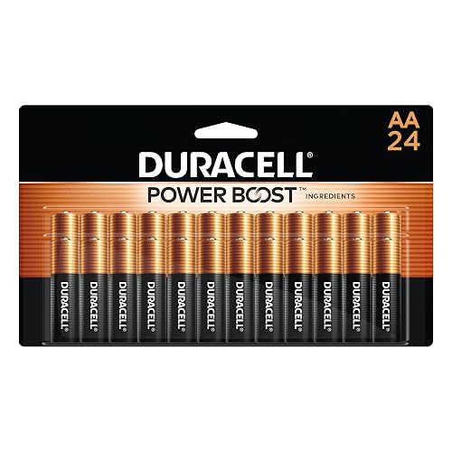 Duracell Coppertop AA Batteries