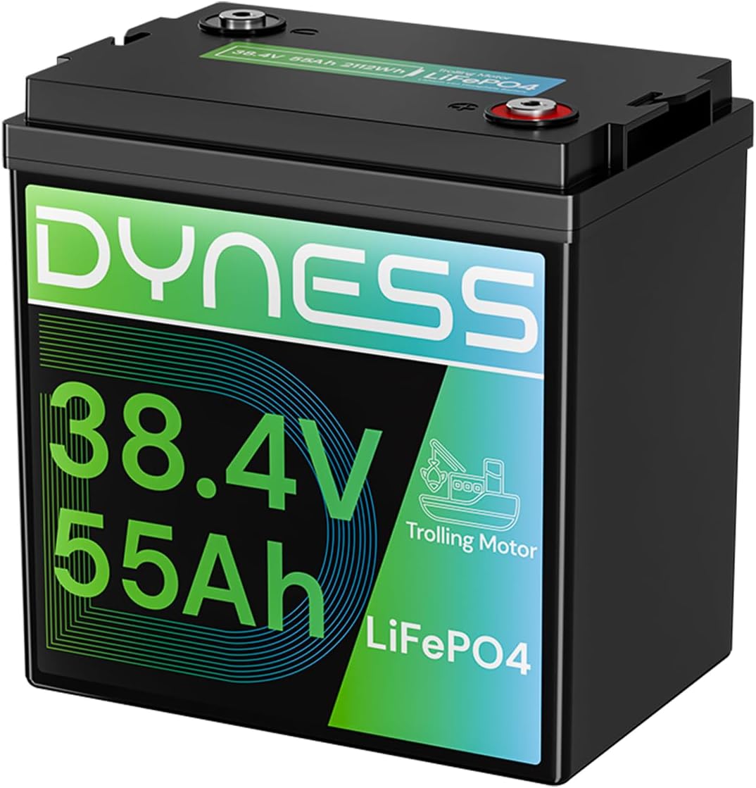 Dyness Trolling Motor Low-Temp Protection LiFePO4
