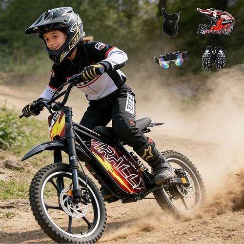 eAhora S4 Electric Dirt Bike - &