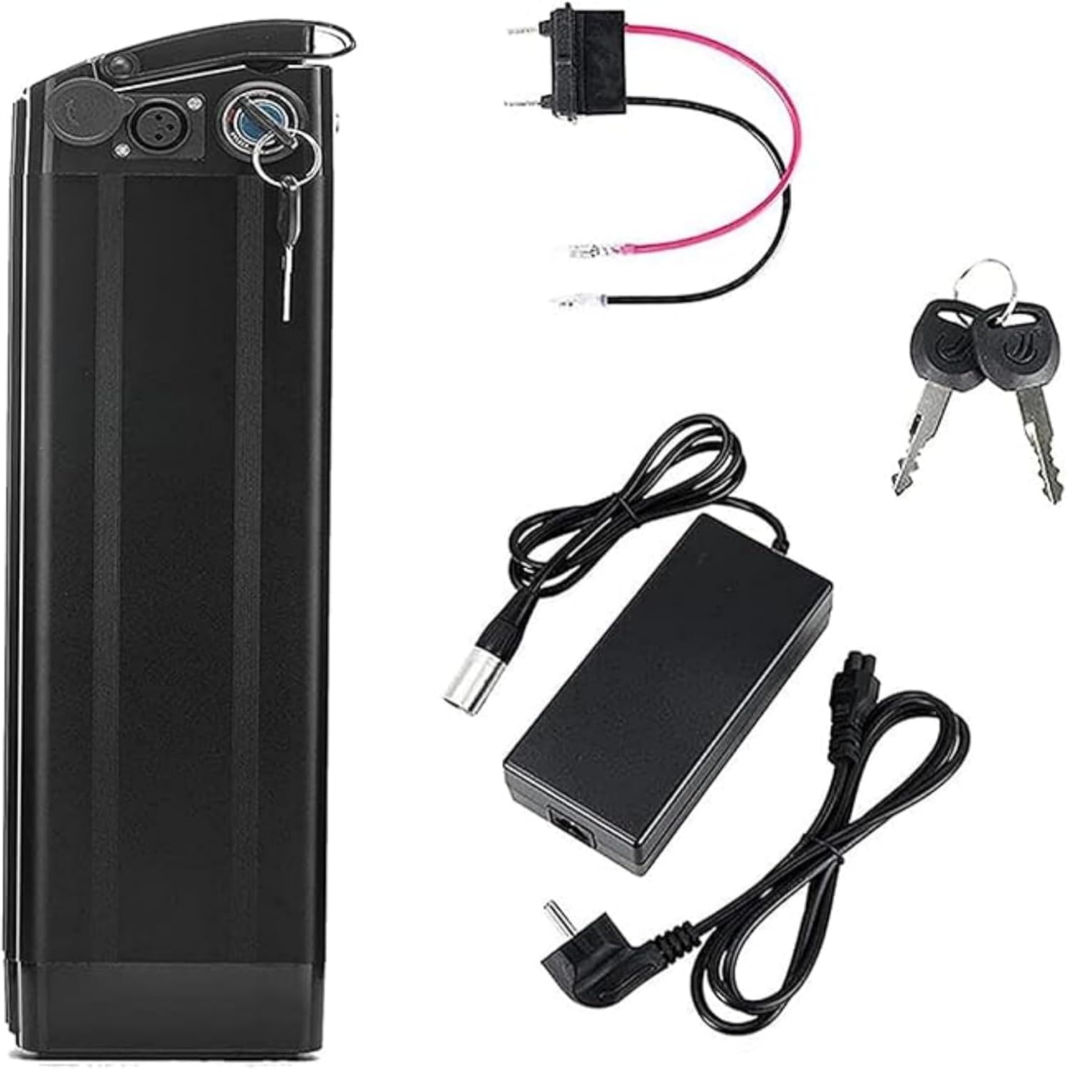 Ebike Battery 15. Silver Fish Replacement