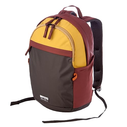 Eddie Bauer 20L Venture Backpack