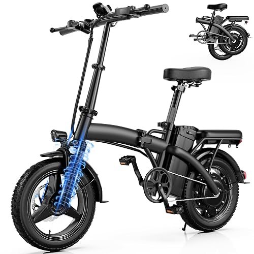 Electric Motor