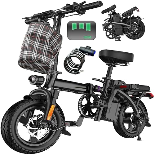 Electric Bike