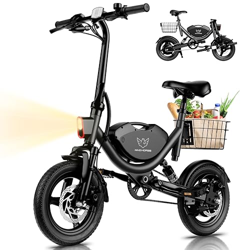 Electric with Basket E-Bike