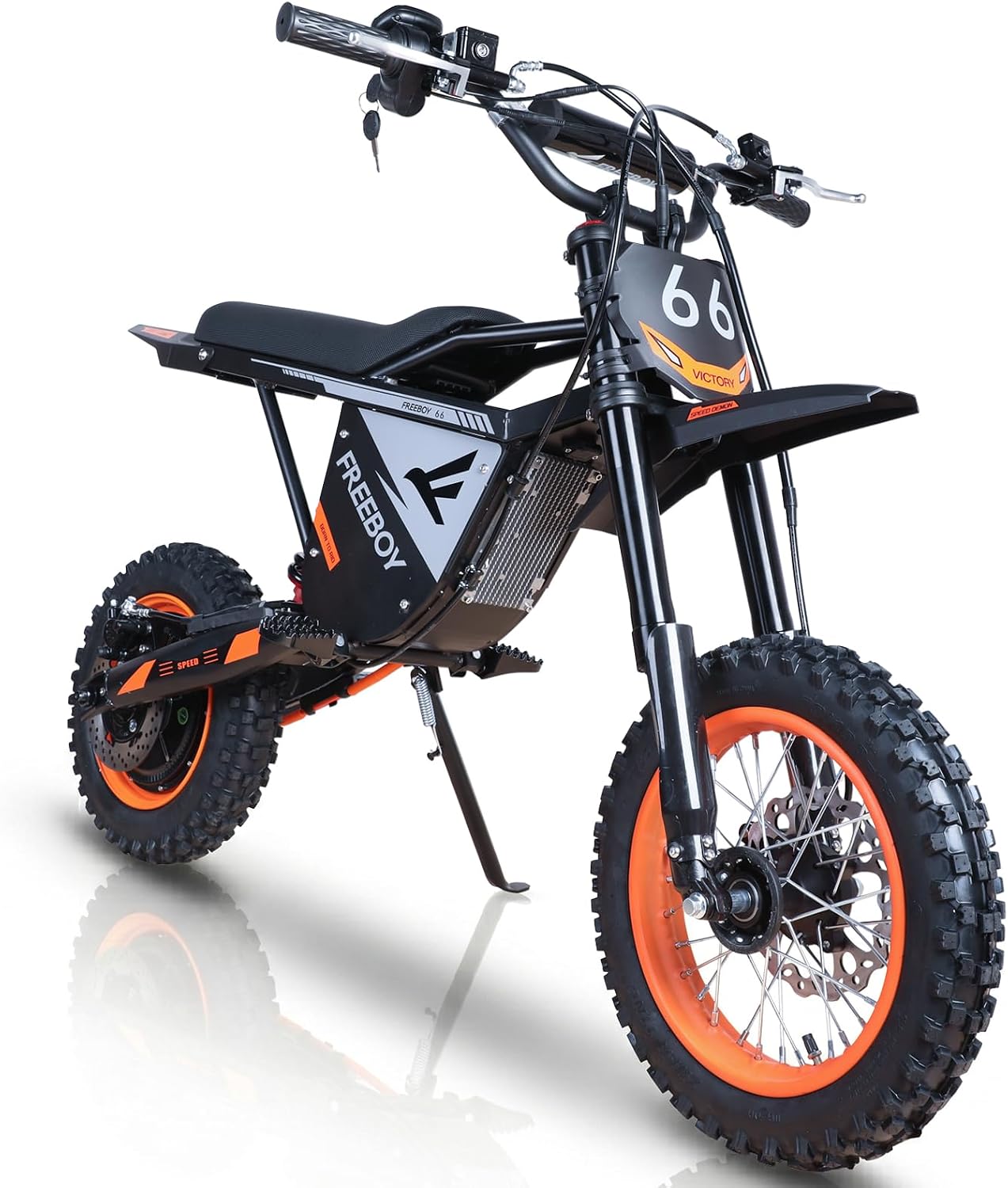 Electric Dirt Bike Adults