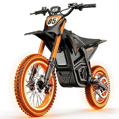 Electric Dirt Bike & Adults