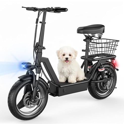 Electric Adults with Seat