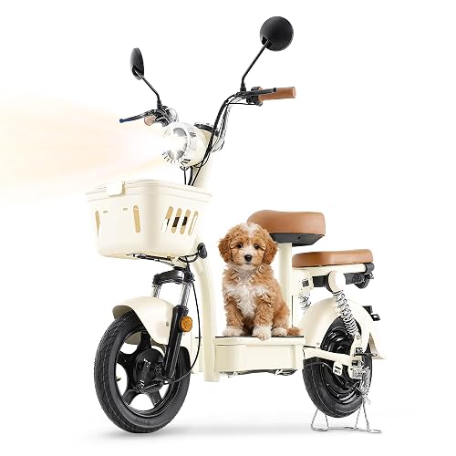 Electric with Seat