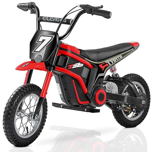 ELEMARA Electric Dirt Bike