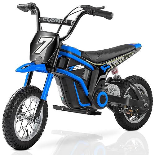 ELEMARA Electric Dirt Bike