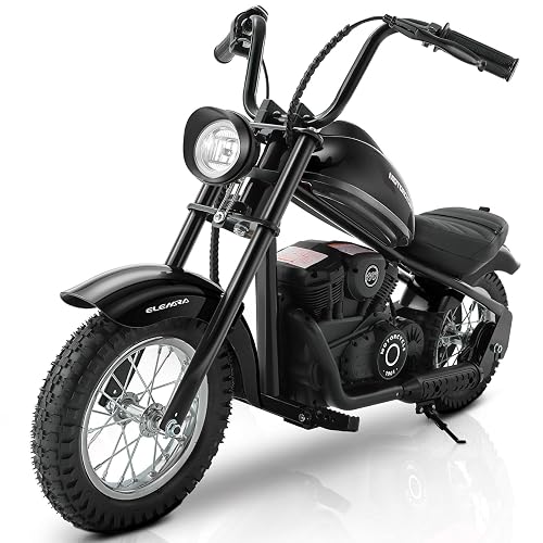 ELEMARA Electric Dirt Bike