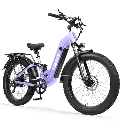 ESKUTE 48V20. Battery Commuter
