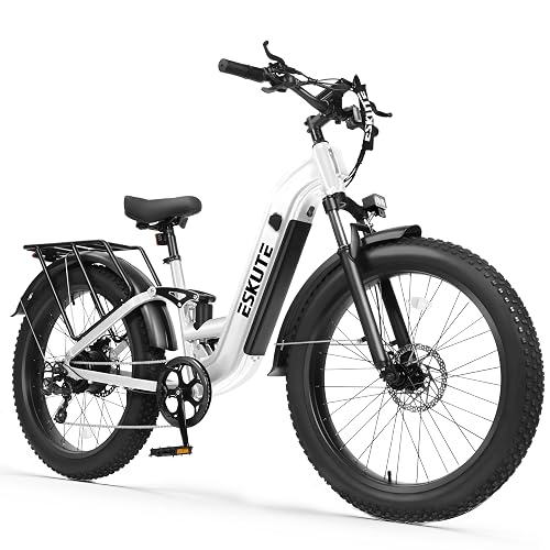 ESKUTE 48V20. Battery Commuter