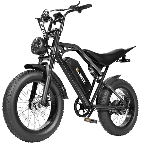 ESKUTE V200 Electric Dirt Bike