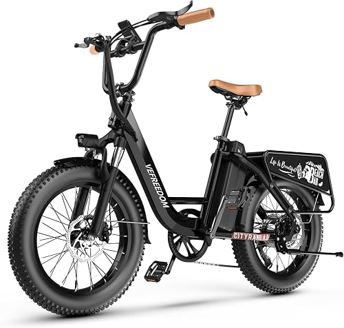 EUY with Peak Motor E-Bike