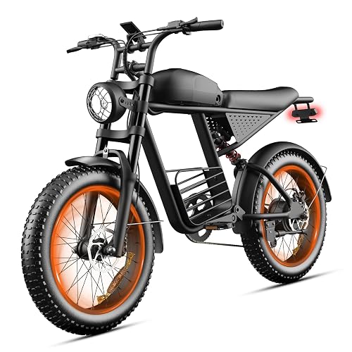 feifayzx / Dual Peak Motor 20"